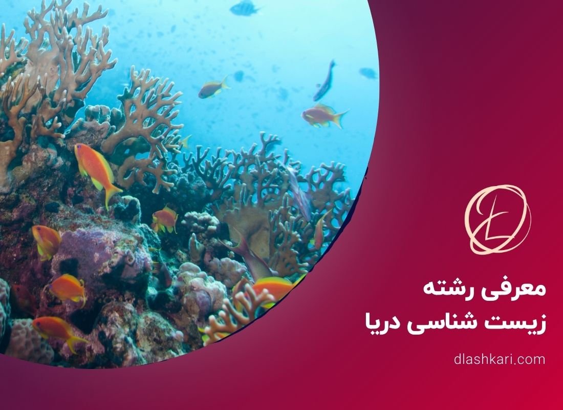 معرفی رشته زیست شناسی دریا