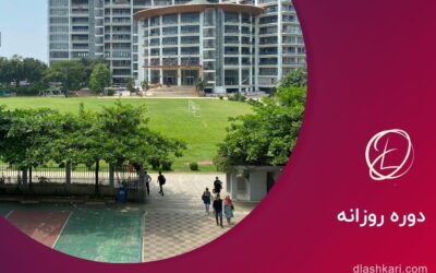 دوره روزانه چیست؟